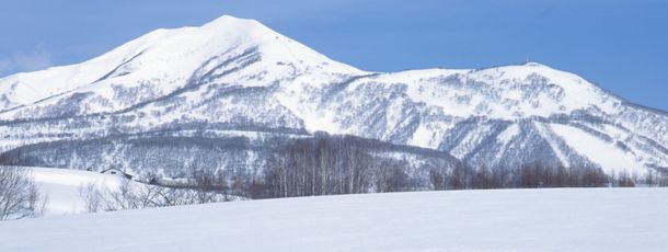 Niseko United consists of four connected ski areas.