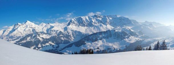 Information about the ski resort Adelboden Lenk