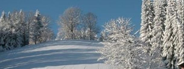 Information about the ski resort Glasenberg Maria Neustift