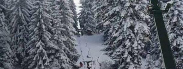 © www.ellegglift.de