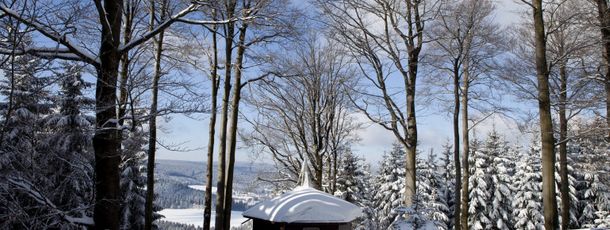 Information on Cross-Country Skiing at Neuhaus am Rennweg