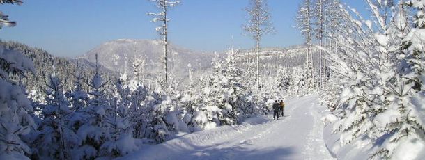Information on Cross-Country Skiing at Cross Country Center Hochreit
