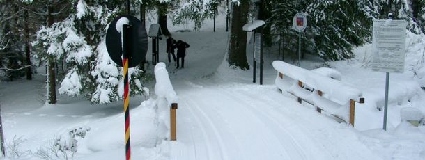 Information on Cross-Country Skiing at Hohenbogen