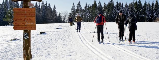 Information on Cross-Country Skiing at Willingen