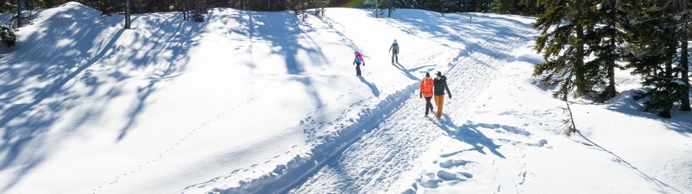 Im Raurisertal kannst du den Winter entspannt genießen.