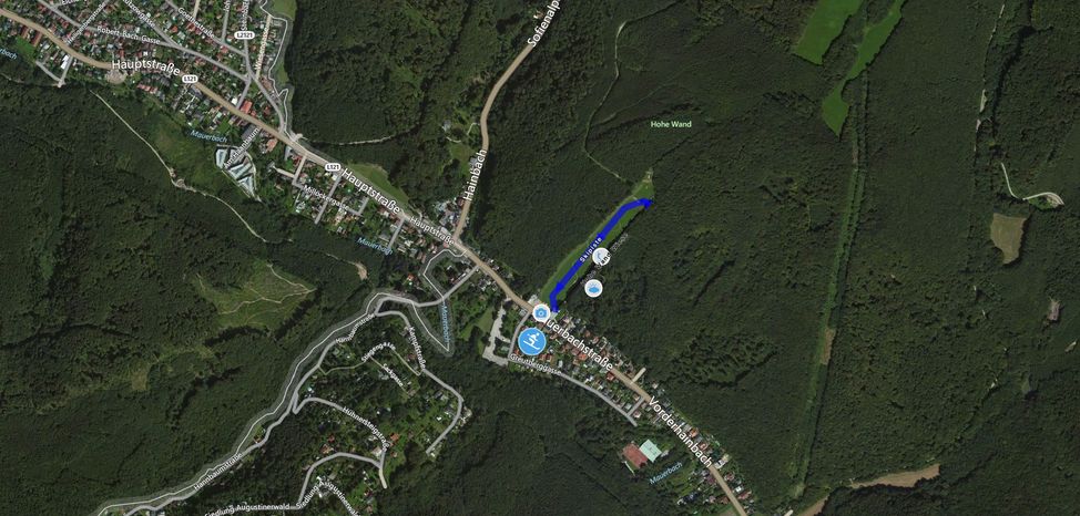 Information about the ski resort Hohe Wand Wiese