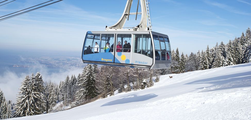 Information about the ski resort Pfänder