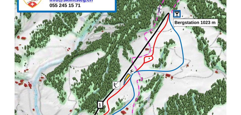 Information about the ski resort Steg