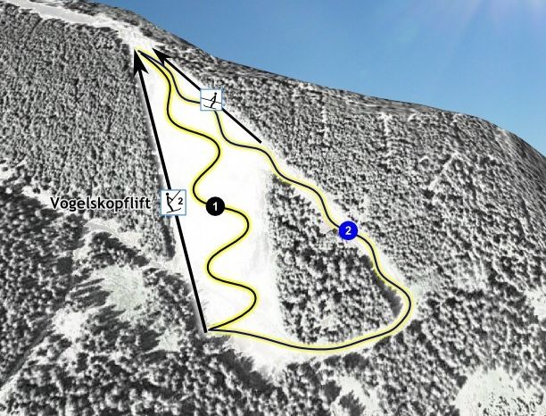 Information about the ski resort Vogelskopf