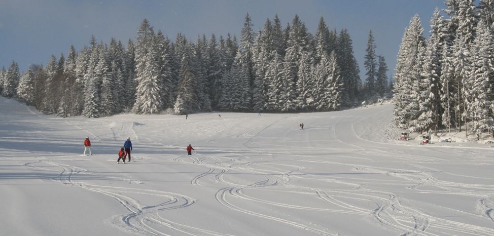 Schneeland Wenigzell