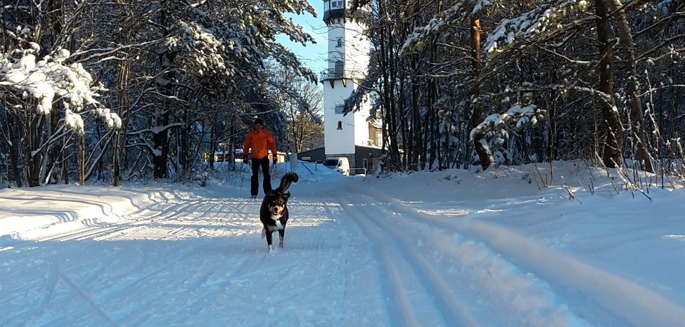 Detaillierte Infos zum Langlauf und den Loipen im Langlaufgebiet Oberweißbach