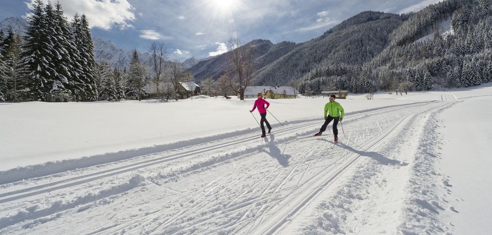Information on Cross-Country Skiing at Bodental