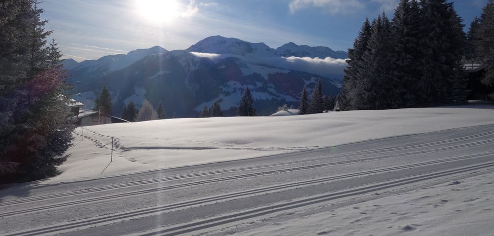 Information on Cross-Country Skiing at Chur Brambrüesch