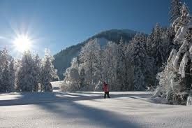 Information on Cross-Country Skiing at Gaissau Hintersee