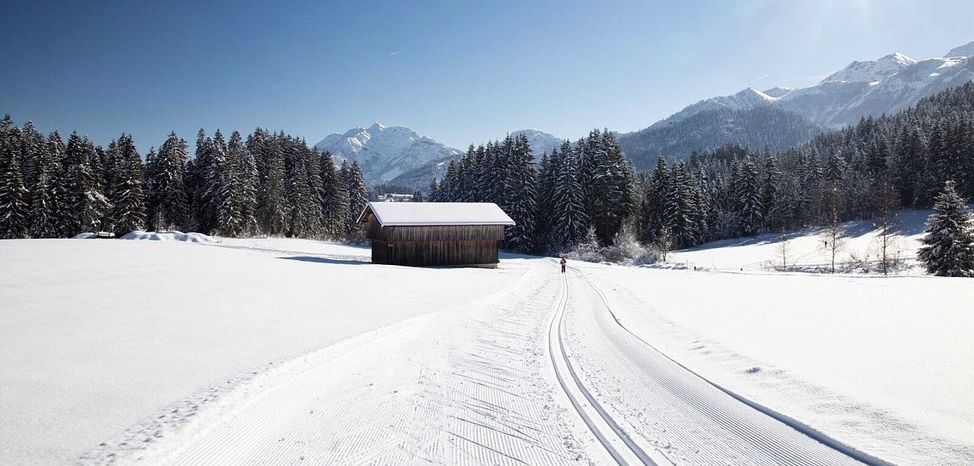 Information on Cross-Country Skiing at Hochfilzen