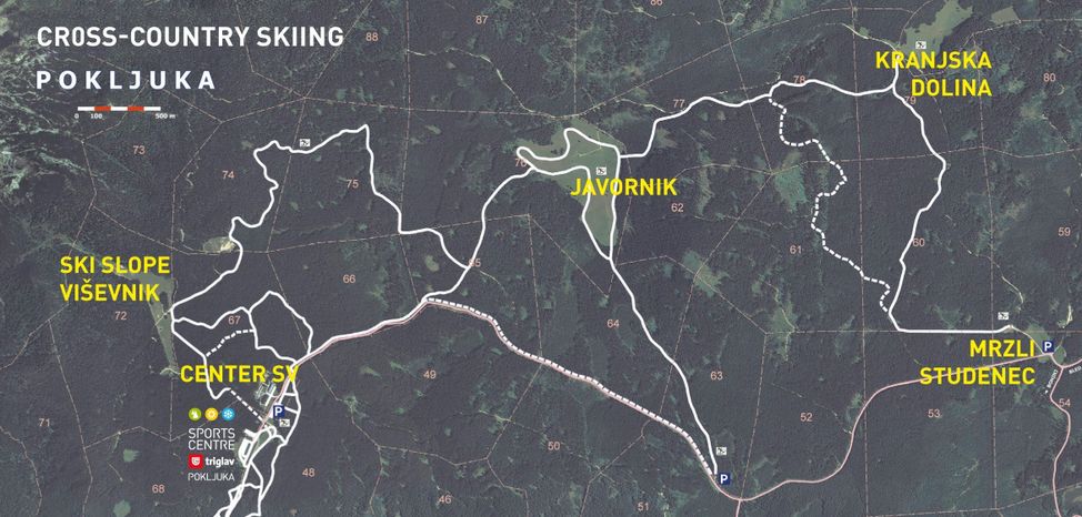 Information on Cross-Country Skiing at Pokljuka