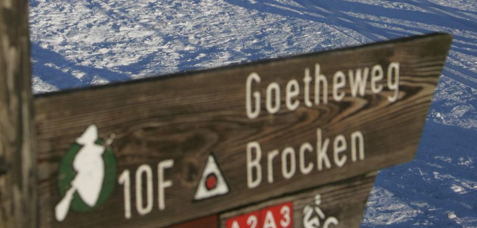 44 Loipenkilometer verlaufen rund um St. Andreasberg.