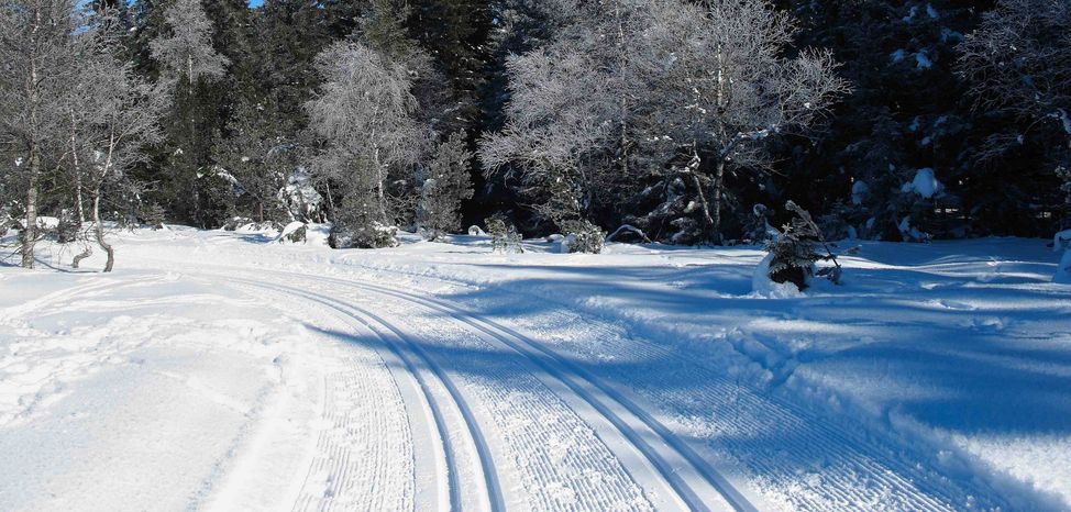 Information on Cross-Country Skiing at Schwarzenberg Bödele