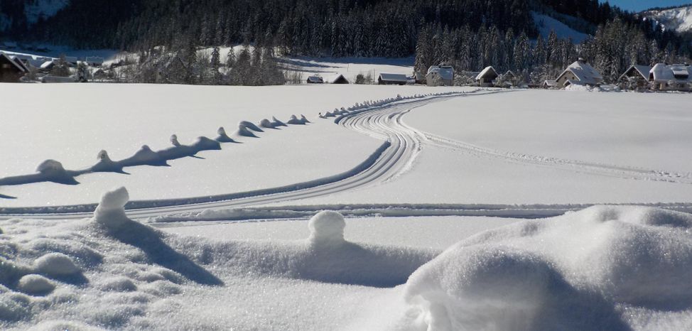 Detaillierte Infos zum Langlauf und den Loipen im Langlaufgebiet Wildalpen