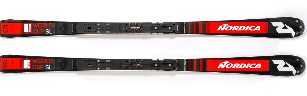 Detailed Infos about the p_ski Dobermann GS WC PLATE