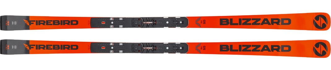 Detailed Infos about the p_ski Firebird GS FIS