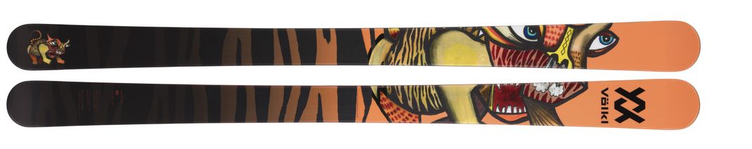 Detailed Infos about the p_ski Revolt 95