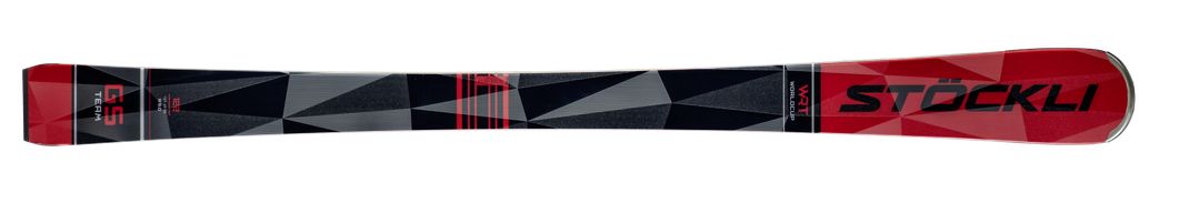 Detailed Infos about the p_ski GS Team