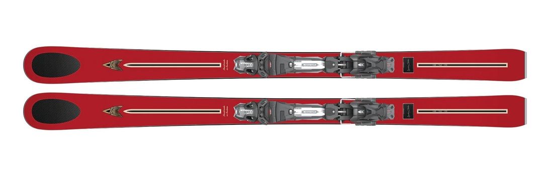 Detailed Infos about the p_ski Legend 1956