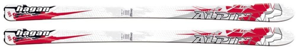 Detailed Infos about the p_ski Alpin