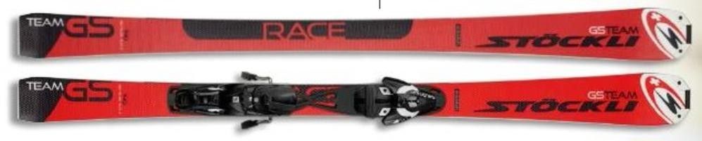 Detailed Infos about the p_ski GS Team