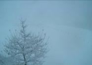 Municipality Hochfilzen