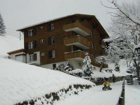  Chalet Steinbock