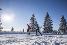 Loipenplan Hochschwarzwald
