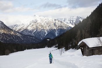 Am Achensee begibst du dich auf die Spuren der Wildtiere.