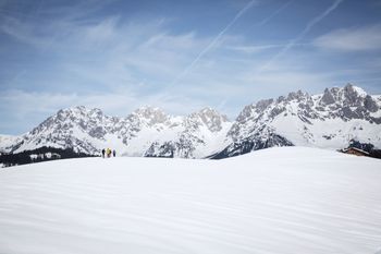 Natur pur - in den Kitzbüheler Alpen wanderst du über das idyllische Hochplateau Bichlach.