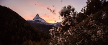 Stille am Matterhorn