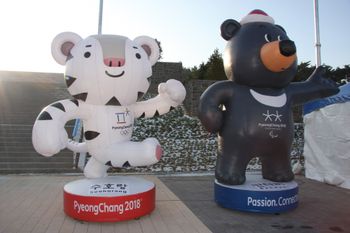 Guess who's already smiling down from huge billboards: The white tiger Soohorang and the black bear Bandabi are the Winter Olympics' mascots.