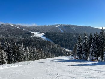 Sowohl Anfänger als auch Fortgeschrittene haben auf den breiten Pisten ihren Spaß.