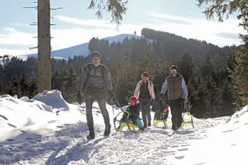 Genieße Natur pur und tolle Aussicht auf dem Blomberg.