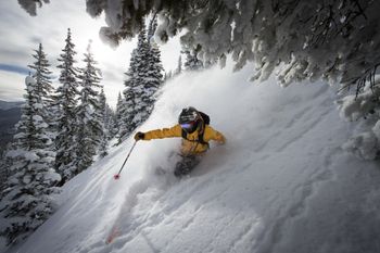 Treeskiing und Off-pist Skiing sind in Aspen Mountain ein großartiges Erlebnis.
