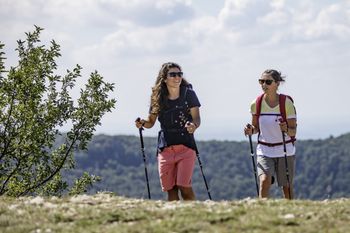 Der Sommer hat gezeigt, dass das Bedürfnis nach Bewegung in der Natur groß ist.