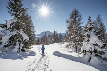 Genieße beim Schneeschuhwandern die Ruhe der unberührten Winterwelt.