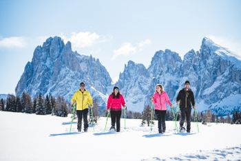 Genieße beim Winterwandern die Ruhe der unberührten Natur inmitten der Dolomiten.