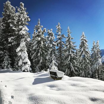 Verschneite Winterlandschaften - so stellen wir uns die Festtage in unseren Träumen vor.