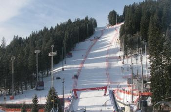 Blick von der Webcam auf den Zielhang in Madonna di Campiglio.