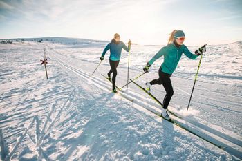 Before hitting the trails, you need to think about what style of cross-country skiing you want to do.