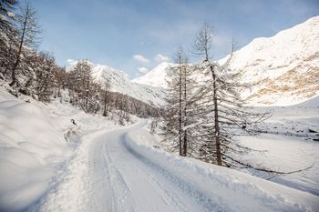 Egal wie viel Schnee liegt, ausführliche Wandertouren sind rund um Pfelders immer möglich.