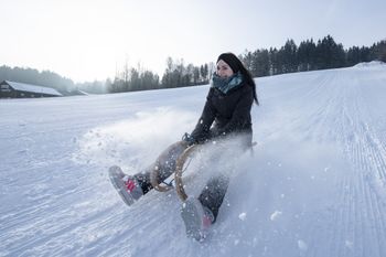 Am Ochsenkopf im Fichtelgebirge stehen zahlreiche Rodelbahnen zur Auswahl.
