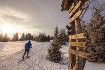 Langläufer fühlen sich vor allem im Erzgebirge wohl.