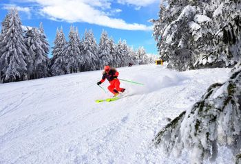 Klick dich durch die besten Tipps für dein unvergessliches Winterabenteuer in Tschechien!